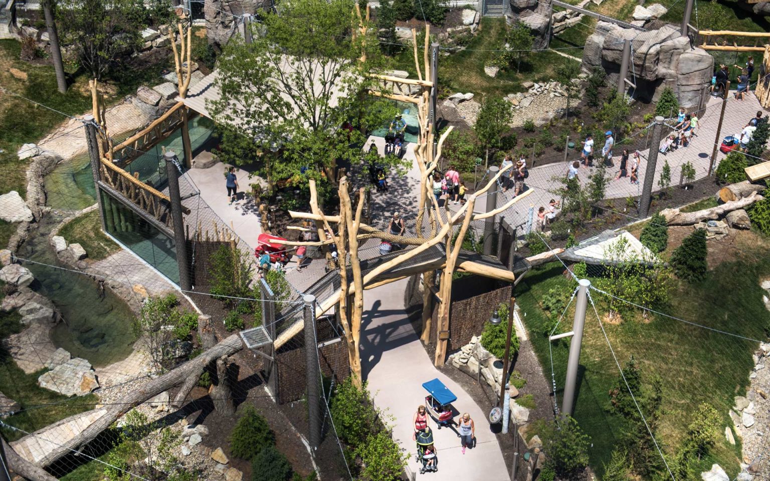 Zoo - Rosebrough Tiger Passage Aerial- Panzica Construction